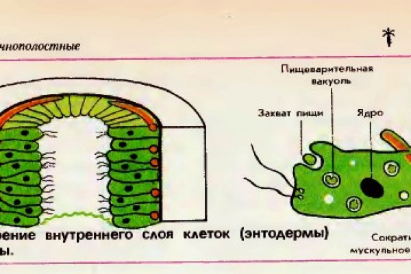 Кракен маркет что это такое