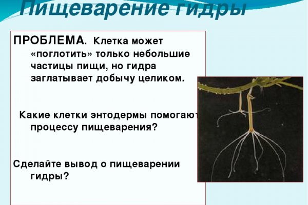 Забыл пароль кракен